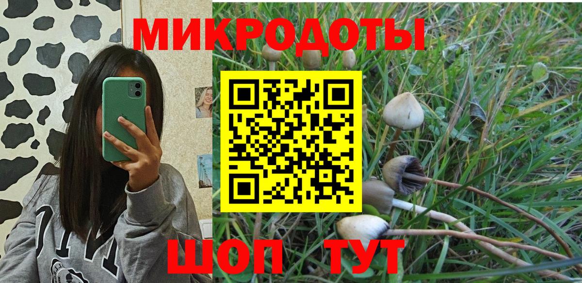 Псилоцибиновые грибы мицелий Мытищи
